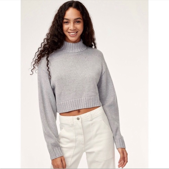 Aritzia Sweaters - NEW Aritzia Wilfred Harper Merino Wool Knit Pullover Sweater